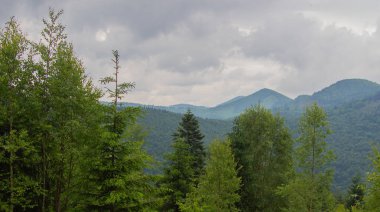 Gorgan'daki dağlara unutulmaz bir yürüyüş, şelaleler. Karpatlarda dinlenin