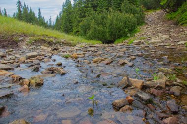 Gorgan'daki dağlara unutulmaz bir yürüyüş, şelaleler. Karpatlarda dinlenin