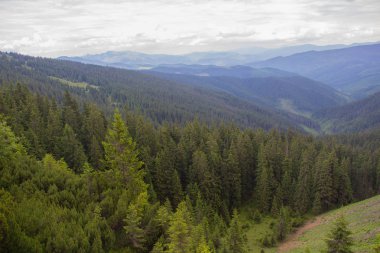 Gorgan'daki dağlara unutulmaz bir yürüyüş, şelaleler. Karpatlarda dinlenin