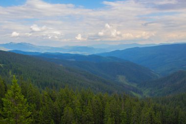 Gorgan'daki dağlara unutulmaz bir yürüyüş, şelaleler. Karpatlarda dinlenin