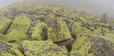 Gorgan'daki dağlara unutulmaz bir yürüyüş, şelaleler. Karpatlarda dinlenin