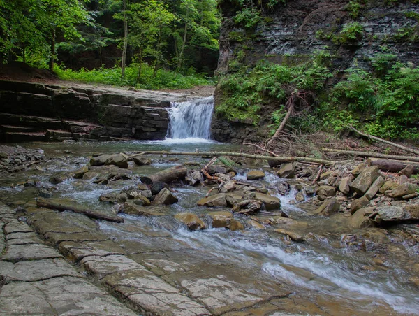 Indimenticabile Escursione Montagna Gorgan Cascate Riposo Nei Carpazi — Foto Stock