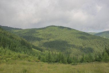 Karpatlarda Trekking, Pop Ivan Marmarassky Pop Ivan Chernogorsk Ukrayna ve Romanya arasındaki sınıra yürüyüş