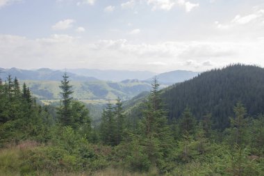 Karpatlarda Trekking, Pop Ivan Marmarassky Pop Ivan Chernogorsk Ukrayna ve Romanya arasındaki sınıra yürüyüş