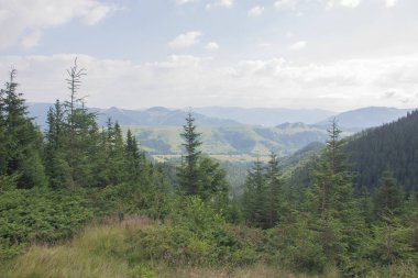 Karpatlarda Trekking, Pop Ivan Marmarassky Pop Ivan Chernogorsk Ukrayna ve Romanya arasındaki sınıra yürüyüş