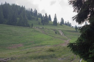 Karpatlarda Trekking, Pop Ivan Marmarassky Pop Ivan Chernogorsk Ukrayna ve Romanya arasındaki sınıra yürüyüş