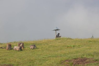 Karpatlarda Trekking, Pop Ivan Marmarassky Pop Ivan Chernogorsk Ukrayna ve Romanya arasındaki sınıra yürüyüş
