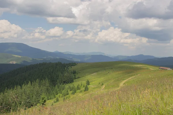Trekking in the Carpathians, Hike to the border between Ukraine and Romania from Pop Ivan Marmarassky to Pop Ivan Chernogorsk