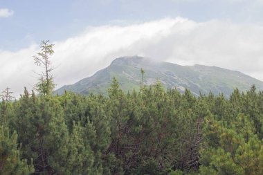 Karpatlarda Trekking, Pop Ivan Marmarassky Pop Ivan Chernogorsk Ukrayna ve Romanya arasındaki sınıra yürüyüş