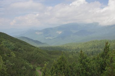 Karpatlarda Trekking, Pop Ivan Marmarassky Pop Ivan Chernogorsk Ukrayna ve Romanya arasındaki sınıra yürüyüş