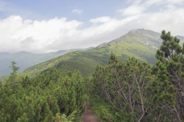 Karpatlarda Trekking, Pop Ivan Marmarassky Pop Ivan Chernogorsk Ukrayna ve Romanya arasındaki sınıra yürüyüş