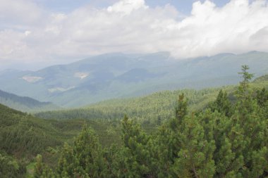 Karpatlarda Trekking, Pop Ivan Marmarassky Pop Ivan Chernogorsk Ukrayna ve Romanya arasındaki sınıra yürüyüş