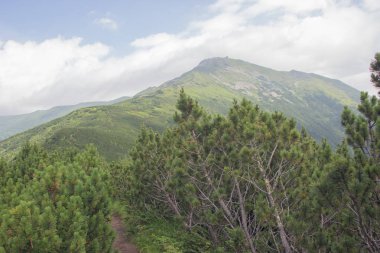 Karpatlarda Trekking, Pop Ivan Marmarassky Pop Ivan Chernogorsk Ukrayna ve Romanya arasındaki sınıra yürüyüş
