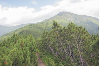 Karpatlarda Trekking, Pop Ivan Marmarassky Pop Ivan Chernogorsk Ukrayna ve Romanya arasındaki sınıra yürüyüş