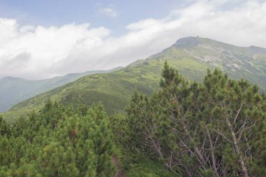Karpatlarda Trekking, Pop Ivan Marmarassky Pop Ivan Chernogorsk Ukrayna ve Romanya arasındaki sınıra yürüyüş