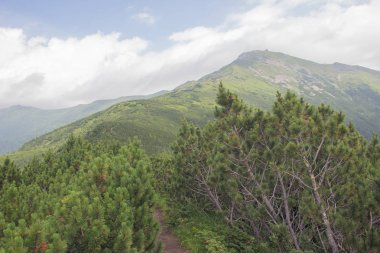 Karpatlarda Trekking, Pop Ivan Marmarassky Pop Ivan Chernogorsk Ukrayna ve Romanya arasındaki sınıra yürüyüş