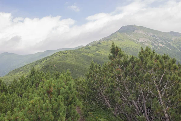 Karpatlarda Trekking, Pop Ivan Marmarassky Pop Ivan Chernogorsk Ukrayna ve Romanya arasındaki sınıra yürüyüş