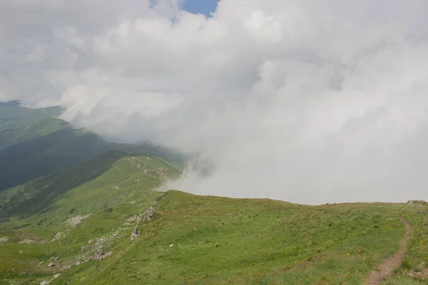 Trekking Karpaten Wandeling Naar Grens Tussen Oekraïne Roemenië Van Pop — Stockfoto