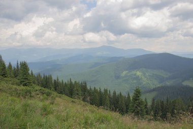 Karpatlarda Trekking, Pop Ivan Marmarassky Pop Ivan Chernogorsk Ukrayna ve Romanya arasındaki sınıra yürüyüş