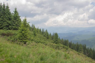 Karpatlarda Trekking, Pop Ivan Marmarassky Pop Ivan Chernogorsk Ukrayna ve Romanya arasındaki sınıra yürüyüş