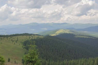 Karpatlarda Trekking, Pop Ivan Marmarassky Pop Ivan Chernogorsk Ukrayna ve Romanya arasındaki sınıra yürüyüş