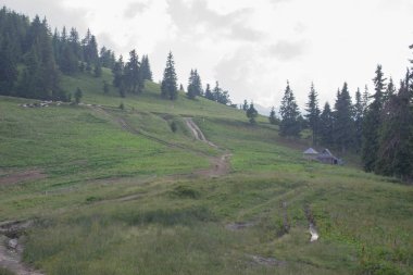 Karpatlarda Trekking, Pop Ivan Marmarassky Pop Ivan Chernogorsk Ukrayna ve Romanya arasındaki sınıra yürüyüş