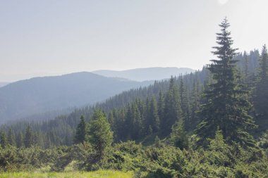 Karpatlarda Trekking, Pop Ivan Marmarassky Pop Ivan Chernogorsk Ukrayna ve Romanya arasındaki sınıra yürüyüş