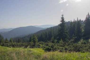 Karpatlarda Trekking, Pop Ivan Marmarassky Pop Ivan Chernogorsk Ukrayna ve Romanya arasındaki sınıra yürüyüş