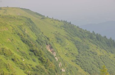 Karpatlarda Trekking, Pop Ivan Marmarassky Pop Ivan Chernogorsk Ukrayna ve Romanya arasındaki sınıra yürüyüş