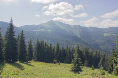 Karpatlarda Trekking, Pop Ivan Marmarassky Pop Ivan Chernogorsk Ukrayna ve Romanya arasındaki sınıra yürüyüş