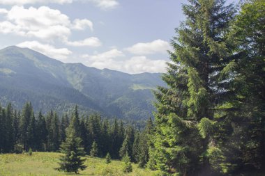 Karpatlarda Trekking, Pop Ivan Marmarassky Pop Ivan Chernogorsk Ukrayna ve Romanya arasındaki sınıra yürüyüş