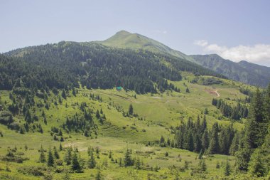 Karpatlarda Trekking, Pop Ivan Marmarassky Pop Ivan Chernogorsk Ukrayna ve Romanya arasındaki sınıra yürüyüş