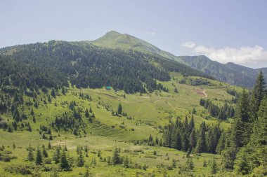 Karpatlarda Trekking, Pop Ivan Marmarassky Pop Ivan Chernogorsk Ukrayna ve Romanya arasındaki sınıra yürüyüş
