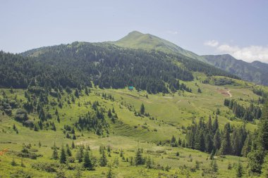 Karpatlarda Trekking, Pop Ivan Marmarassky Pop Ivan Chernogorsk Ukrayna ve Romanya arasındaki sınıra yürüyüş