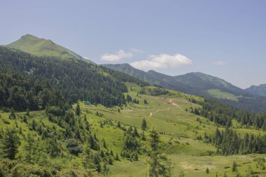 Karpatlarda Trekking, Pop Ivan Marmarassky Pop Ivan Chernogorsk Ukrayna ve Romanya arasındaki sınıra yürüyüş