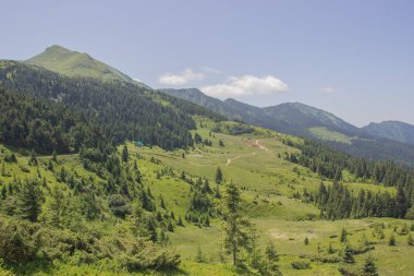 Karpatlarda Trekking, Pop Ivan Marmarassky Pop Ivan Chernogorsk Ukrayna ve Romanya arasındaki sınıra yürüyüş
