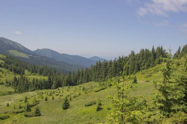 Karpatlarda Trekking, Pop Ivan Marmarassky Pop Ivan Chernogorsk Ukrayna ve Romanya arasındaki sınıra yürüyüş