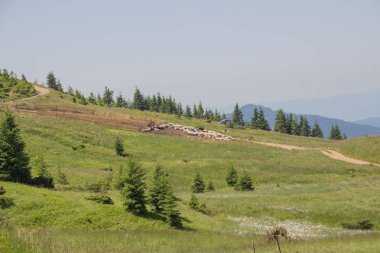 Karpatlarda Trekking, Pop Ivan Marmarassky Pop Ivan Chernogorsk Ukrayna ve Romanya arasındaki sınıra yürüyüş