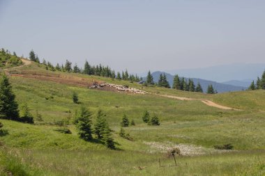 Karpatlarda Trekking, Pop Ivan Marmarassky Pop Ivan Chernogorsk Ukrayna ve Romanya arasındaki sınıra yürüyüş