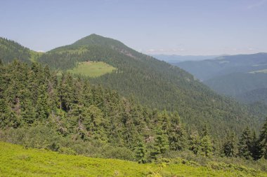 Karpatlarda Trekking, Pop Ivan Marmarassky Pop Ivan Chernogorsk Ukrayna ve Romanya arasındaki sınıra yürüyüş