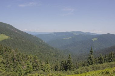 Karpatlarda Trekking, Pop Ivan Marmarassky Pop Ivan Chernogorsk Ukrayna ve Romanya arasındaki sınıra yürüyüş