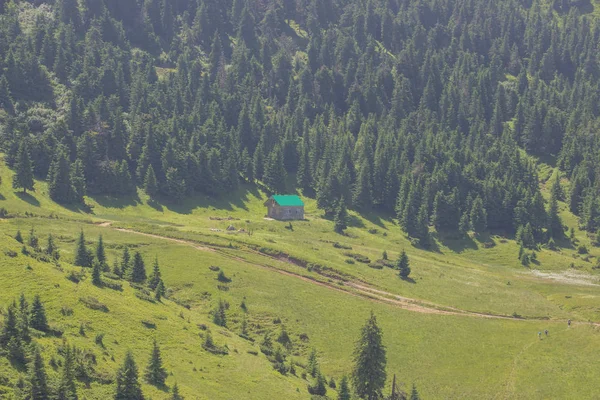 Vandring Karpaterna Vandra Till Gränsen Mellan Ukraina Och Rumänien Från — Stockfoto