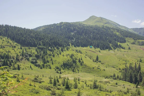 Karpatlarda Trekking, Pop Ivan Marmarassky Pop Ivan Chernogorsk Ukrayna ve Romanya arasındaki sınıra yürüyüş