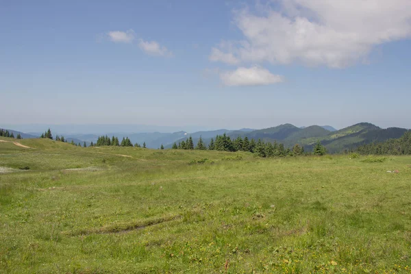 Trekking in the Carpathians, Hike to the border between Ukraine and Romania from Pop Ivan Marmarassky to Pop Ivan Chernogorsk