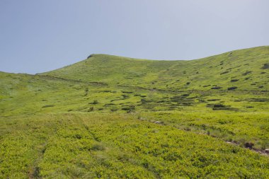 Karpatlarda Trekking, Pop Ivan Marmarassky Pop Ivan Chernogorsk Ukrayna ve Romanya arasındaki sınıra yürüyüş