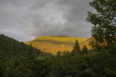 Karpatlarda Trekking, Pop Ivan Marmarassky Pop Ivan Chernogorsk Ukrayna ve Romanya arasındaki sınıra yürüyüş
