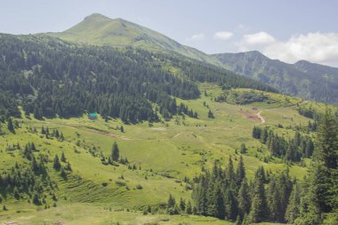 Karpatlarda Trekking, Pop Ivan Marmarassky Pop Ivan Chernogorsk Ukrayna ve Romanya arasındaki sınıra yürüyüş