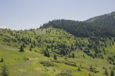 Karpatlarda Trekking, Pop Ivan Marmarassky Pop Ivan Chernogorsk Ukrayna ve Romanya arasındaki sınıra yürüyüş