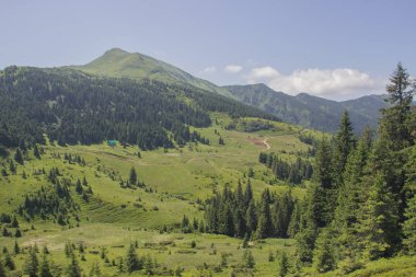 Karpatlarda Trekking, Pop Ivan Marmarassky Pop Ivan Chernogorsk Ukrayna ve Romanya arasındaki sınıra yürüyüş
