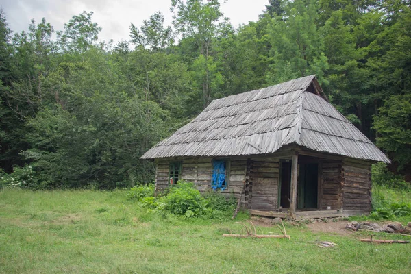 Randonnée Dans Les Carpates Randonnée Frontière Entre Ukraine Roumanie Pop — Photo